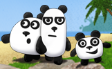 3 Pandas