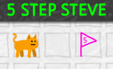 5 Step Steve